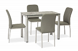 Стол обеденный SIGNAL DAMAR серый, 100/60/75 - Апис плюс